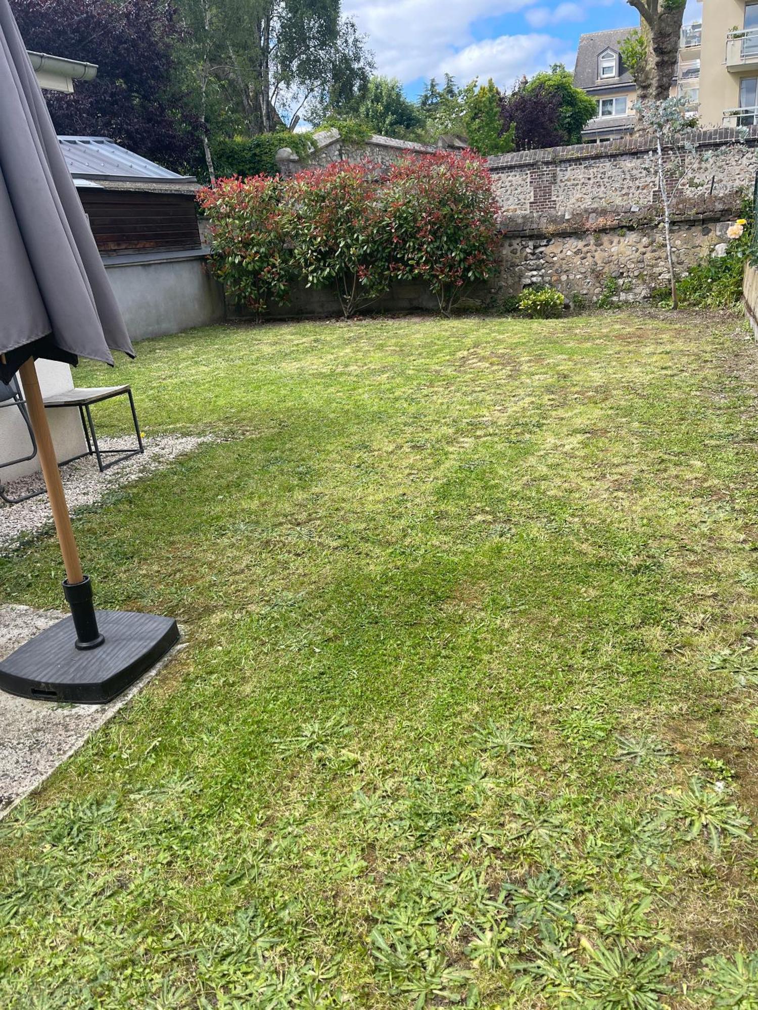 Le Nid Douillet : Superbe Appartement + Jardin Privatif Rouen Eksteriør billede
